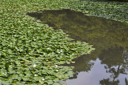 c0093046_6324864.gif