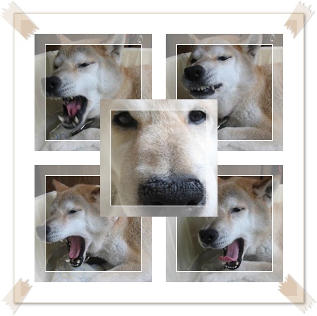 へぇ~~~_c0049950_17243436.jpg