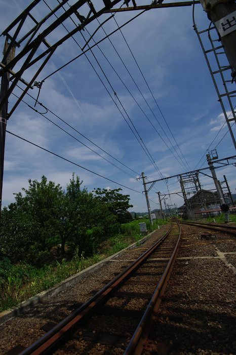 f0152550_165355.jpg