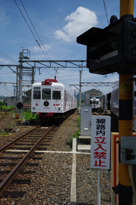 f0152550_166886.jpg
