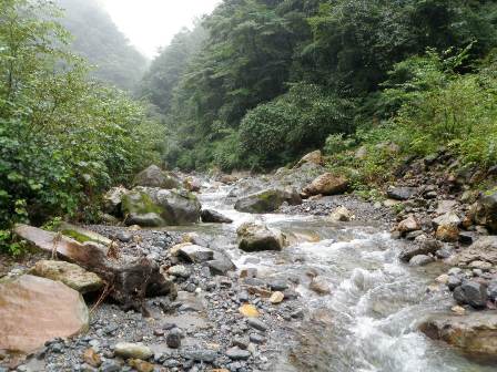 渓流釣り　地獄谷(大山）　単独_d0007657_1825197.jpg