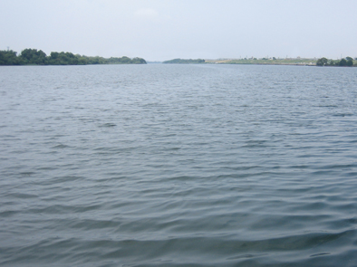 b0177760_19195.jpg