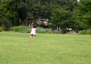 b0170264_85827.jpg