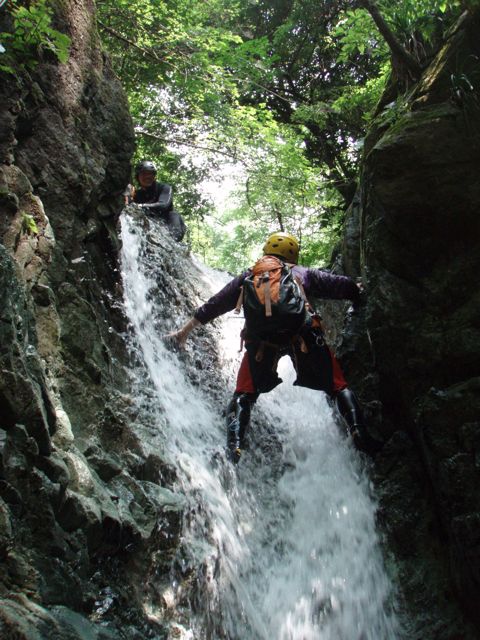 d0079579_654852.jpg