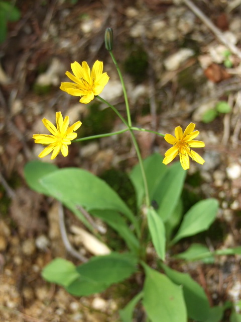 a0094280_9194375.jpg