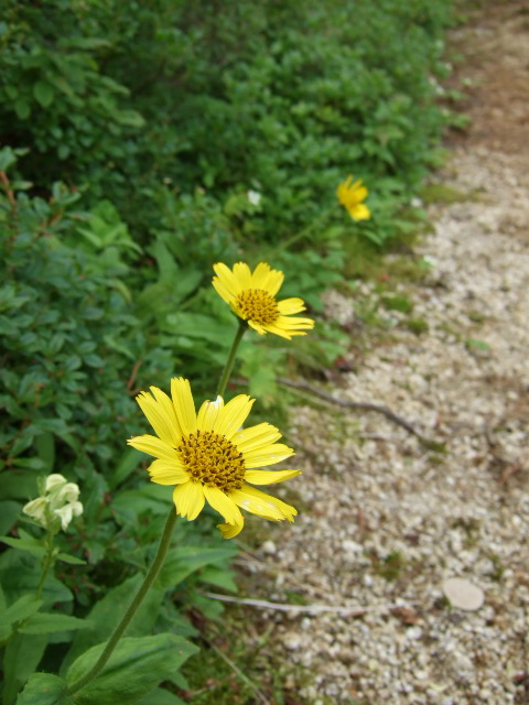a0094280_9205743.jpg