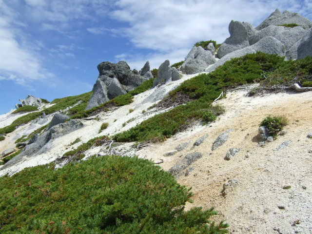 a0094280_9352818.jpg