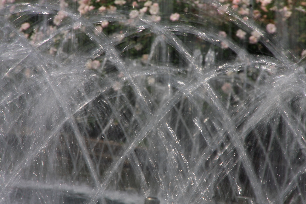 e0024081_16271483.jpg