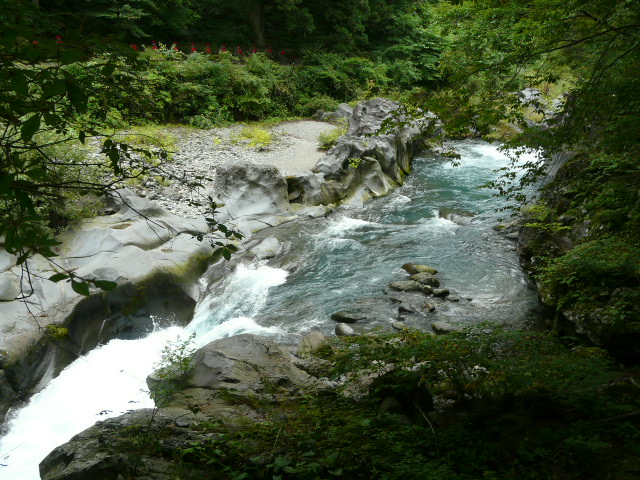 日光植物園　その２_e0145782_17194792.jpg