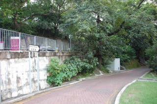 f0067584_203646.jpg