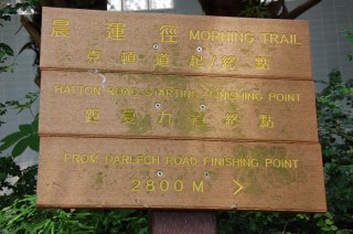 f0067584_2103135.jpg
