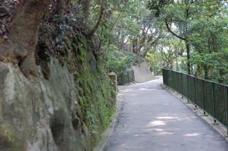 f0067584_2105599.jpg
