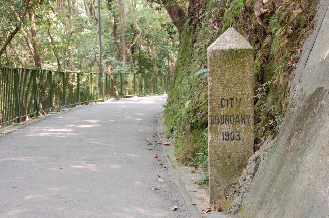f0067584_212678.jpg