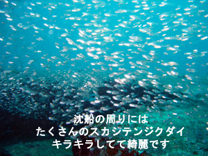 今日は雨降ってません!!_f0144385_18294932.jpg