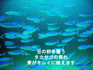 今日は雨降ってません!!_f0144385_18301516.jpg