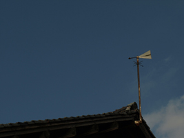 b0151189_23502939.jpg