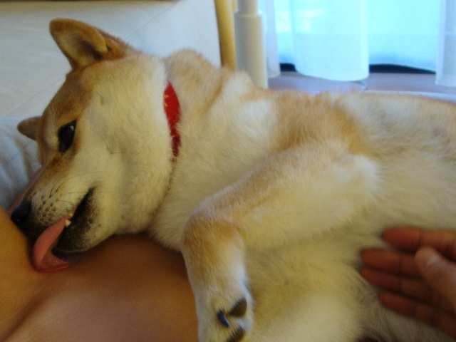 裸族_a0126590_1511594.jpg