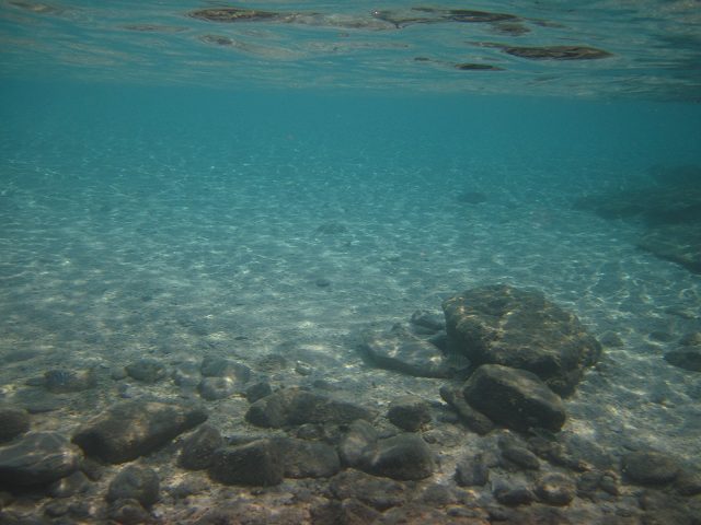 沖縄旅行記\'09．8月阿嘉・座間味～安慶名敷島の海～_e0003090_2321520.jpg