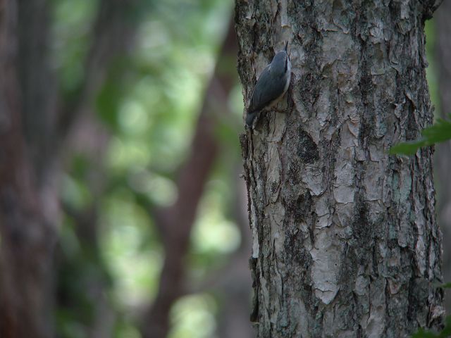 c0079001_101087.jpg