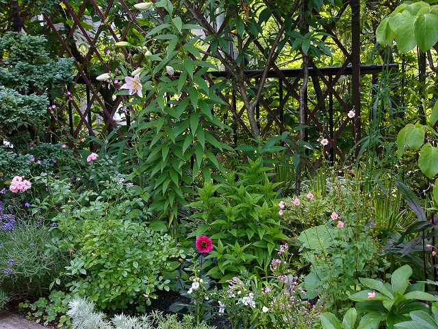 a0123003_21441869.jpg