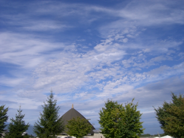 a0134004_16515590.jpg