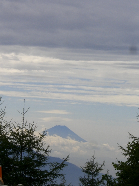 a0134004_16585276.jpg