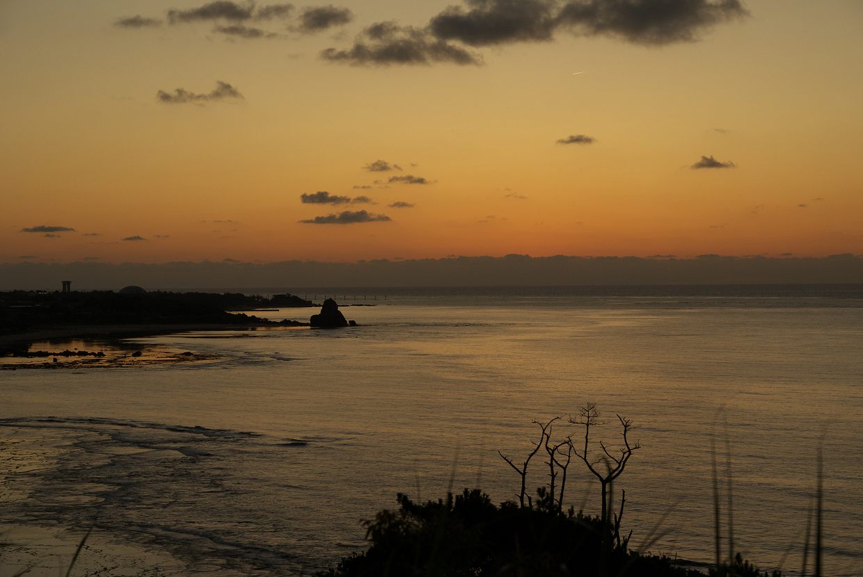 b0174905_8155284.jpg