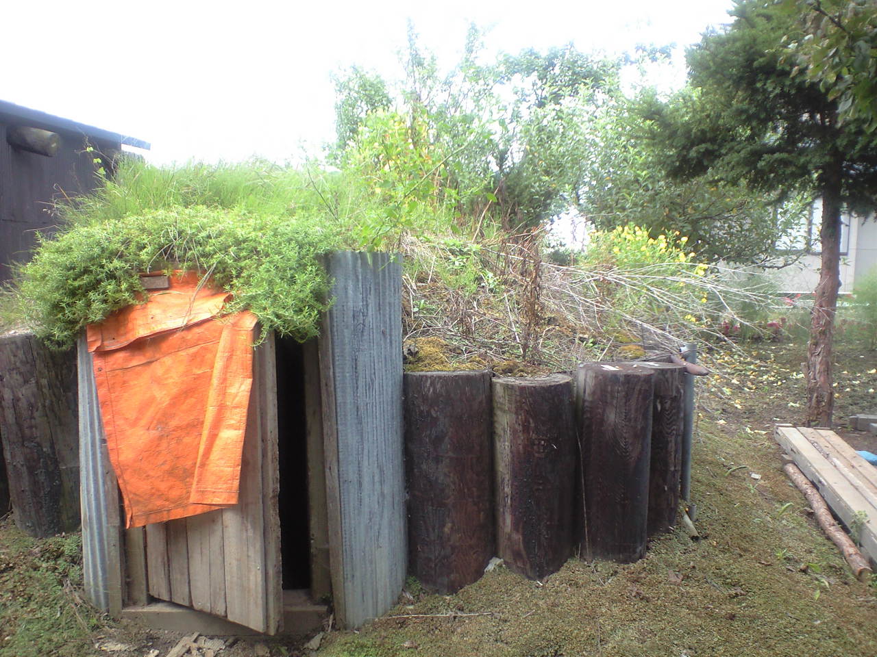 d0066506_18593415.jpg