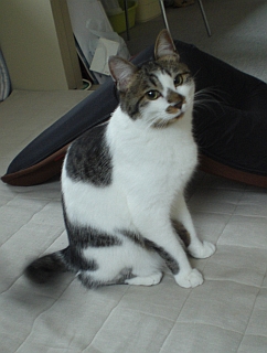 d0131207_6551381.jpg