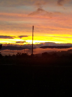 d0148408_2022998.jpg