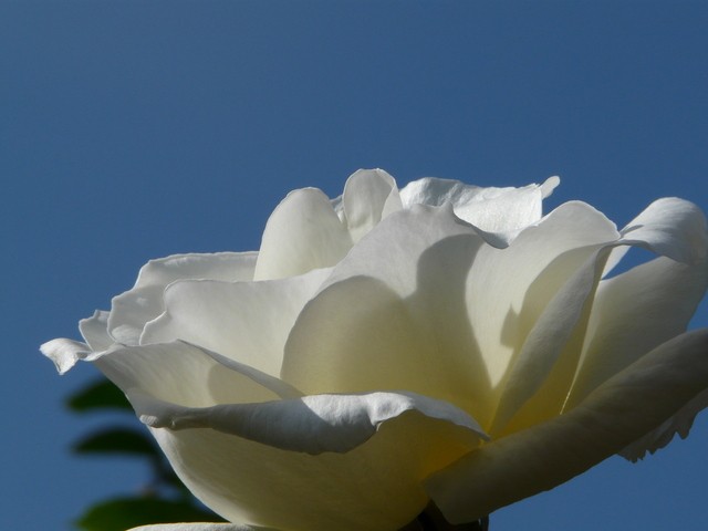 f0024708_3132577.jpg