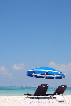 b0115215_16105037.jpg