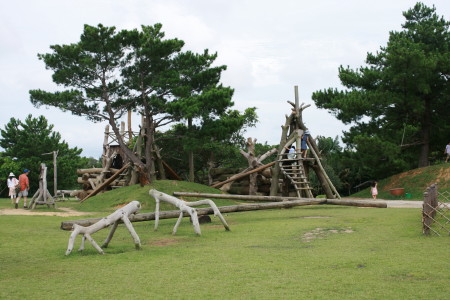 f0097620_1653478.jpg
