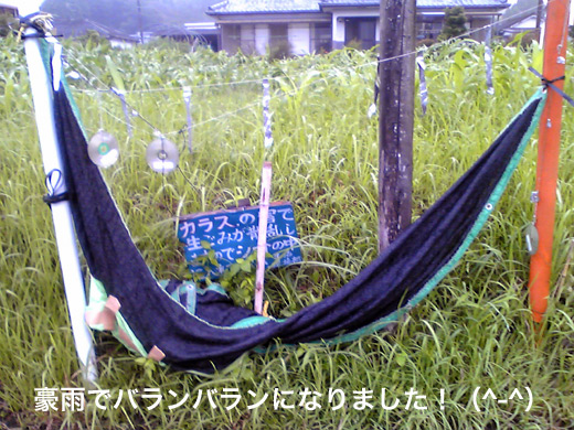 c0147123_2205973.jpg