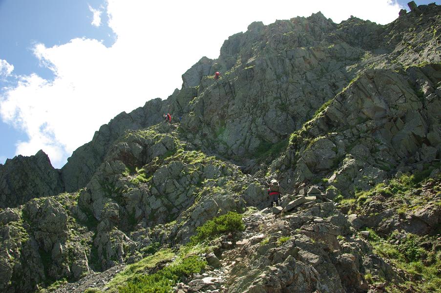 b0062024_6242152.jpg