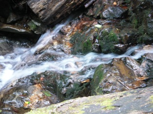 d0132128_1846640.jpg