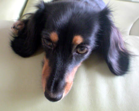 c0117831_223135.jpg