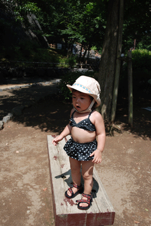 f0185631_22373368.gif