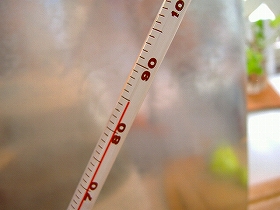 c0056437_6563446.jpg