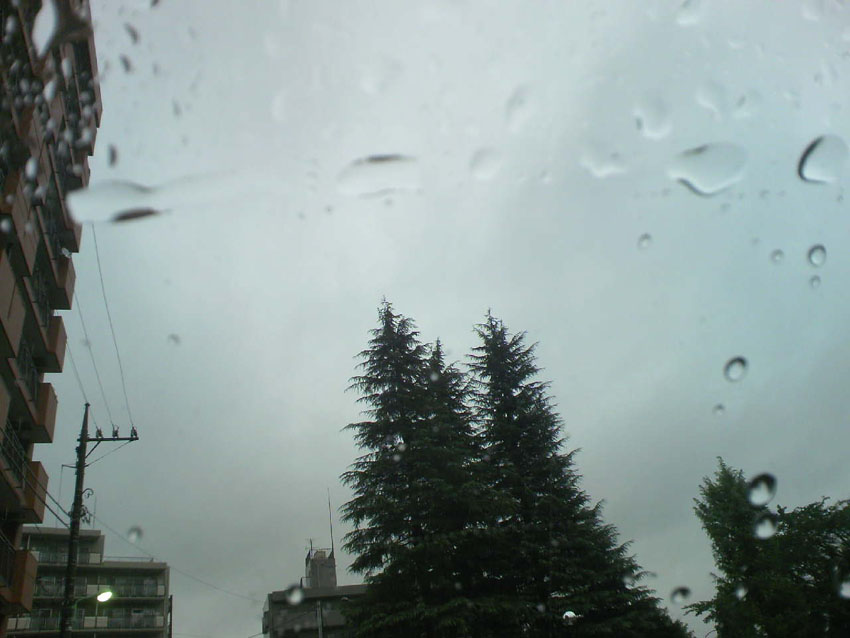 c0125637_2216541.jpg