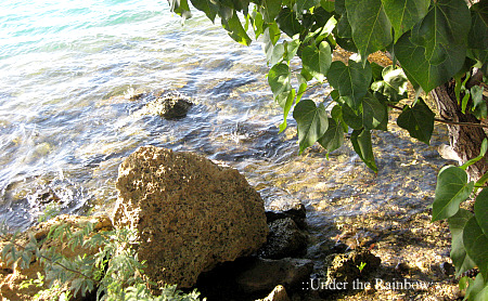 f0162440_1732465.jpg