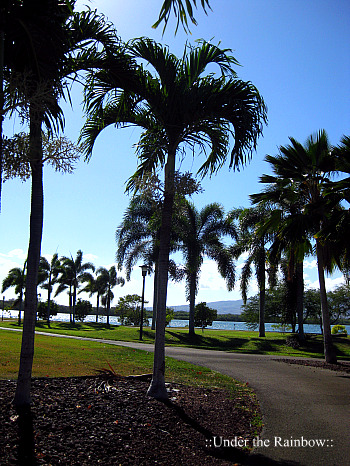 f0162440_1732568.jpg