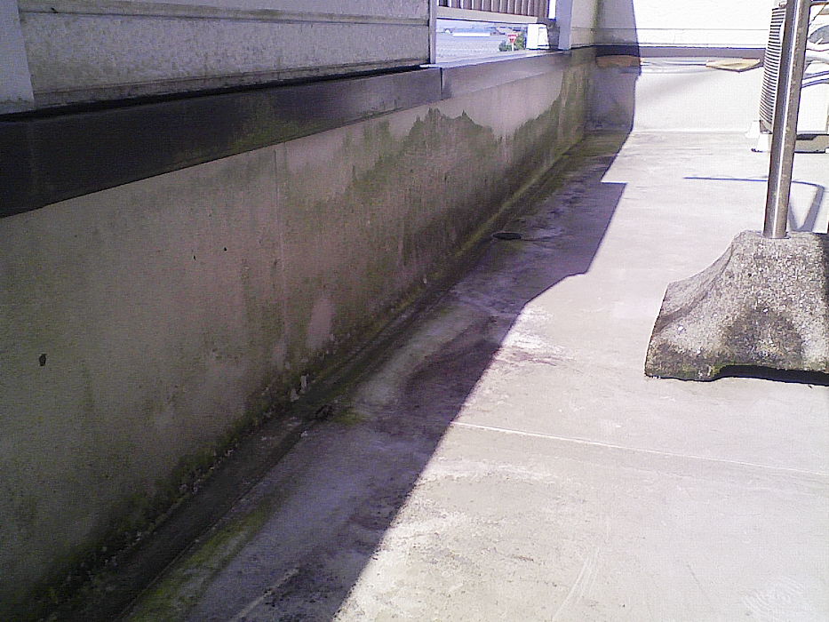 e0196845_12414423.jpg