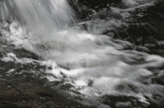 c0093046_0104629.gif