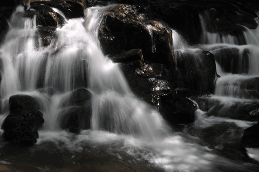 c0093046_0112261.gif