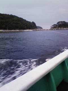 d0118146_16141370.jpg