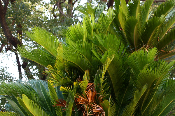 b0162847_22462133.jpg