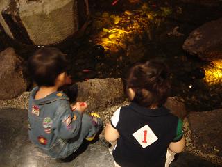 e0181047_14285857.jpg