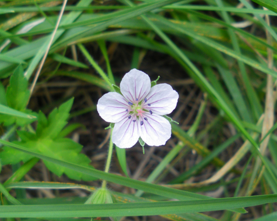 f0161647_20111827.jpg