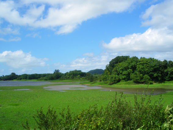 f0161647_20121372.jpg